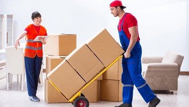 professional movers